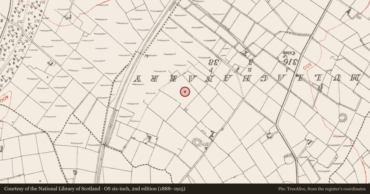 Ordnance Survey six-inch map, 2nd edition (1888–1915) covering the location of Souterrain, Rinbaun, County Sligo, with a pin at the register's coordinates