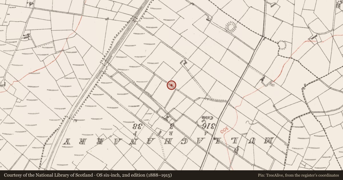 Ordnance Survey six-inch map, 2nd edition (1888–1915) covering the location of Ringfort - cashel, Rinbaun, County Sligo, with a pin at the register's coordinates