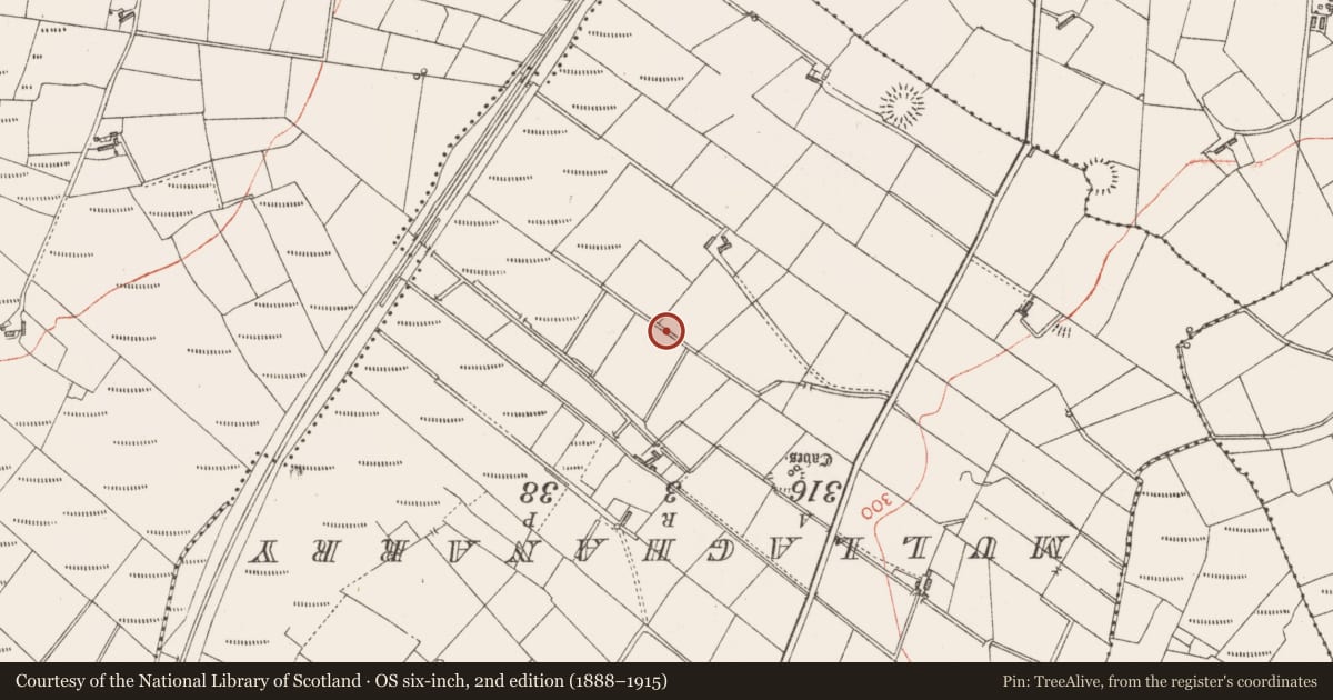 Ordnance Survey six-inch map, 2nd edition (1888–1915) covering the location of Souterrain, Rinbaun, County Sligo, with a pin at the register's coordinates
