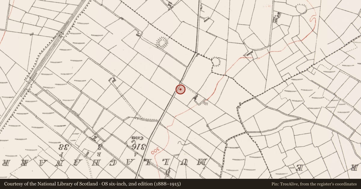 Ordnance Survey six-inch map, 2nd edition (1888–1915) covering the location of Ringfort - cashel, Rinbaun, County Sligo, with a pin at the register's coordinates
