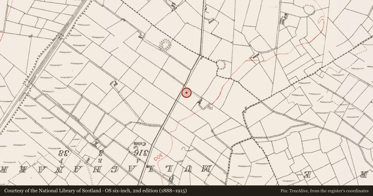 Ordnance Survey six-inch map, 2nd edition (1888–1915) covering the location of Hut site, Rinbaun, County Sligo, with a pin at the register's coordinates