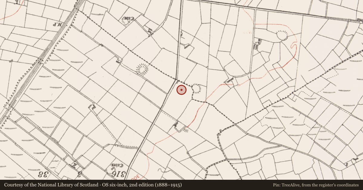 Ordnance Survey six-inch map, 2nd edition (1888–1915) covering the location of Ringfort - rath, Rinbaun, County Sligo, with a pin at the register's coordinates