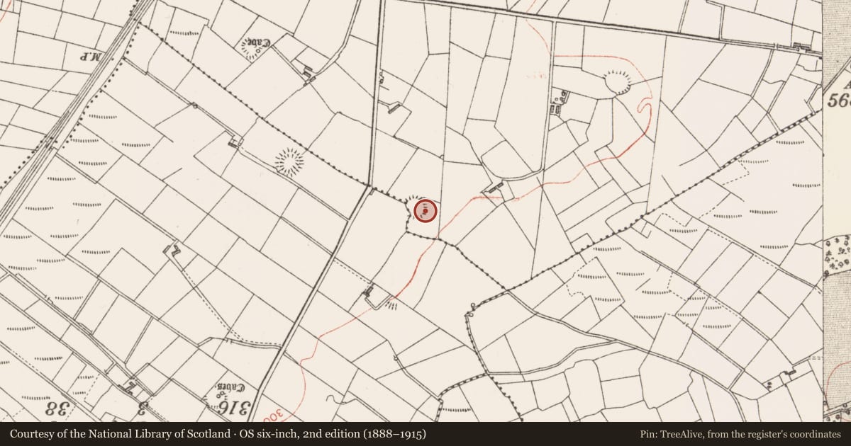 Ordnance Survey six-inch map, 2nd edition (1888–1915) covering the location of Ringfort - rath, Rinbaun, County Sligo, with a pin at the register's coordinates