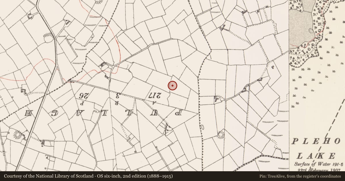 Ordnance Survey six-inch map, 2nd edition (1888–1915) covering the location of Ringfort - rath, Rinbaun, County Sligo, with a pin at the register's coordinates