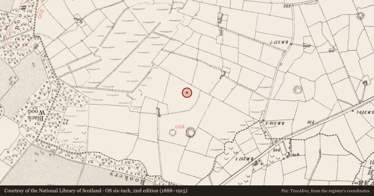 Ordnance Survey six-inch map, 2nd edition (1888–1915) covering the location of Ringfort - rath, Mullaghanarry, County Sligo, with a pin at the register's coordinates