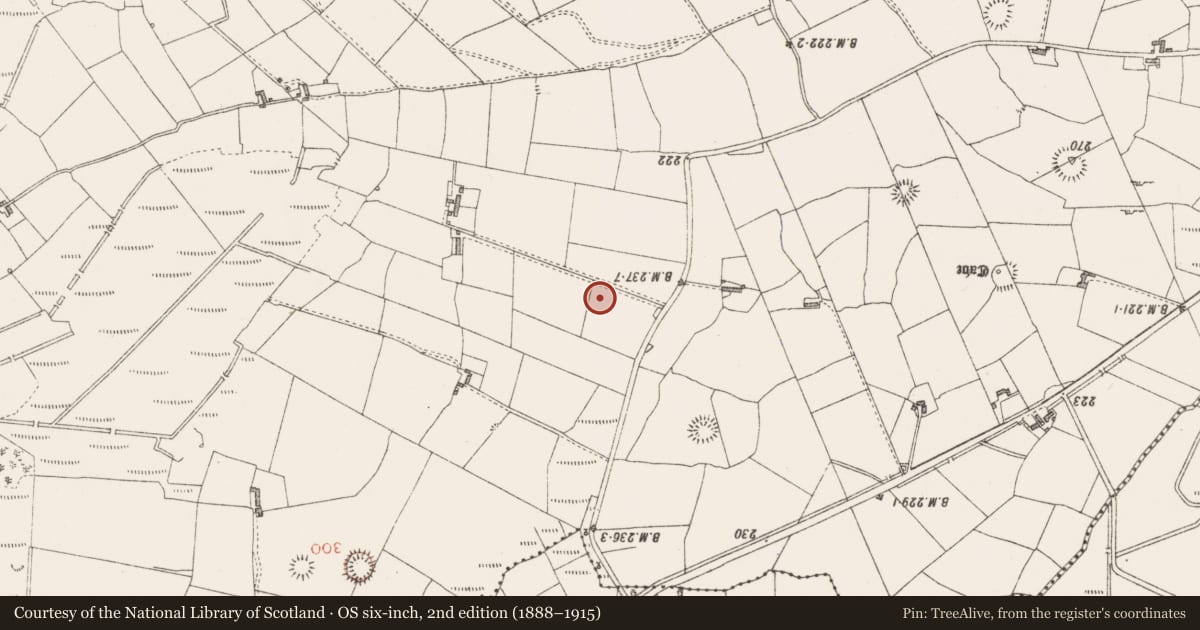 Ordnance Survey six-inch map, 2nd edition (1888–1915) covering the location of Ringfort - rath, Mullaghanarry, County Sligo, with a pin at the register's coordinates