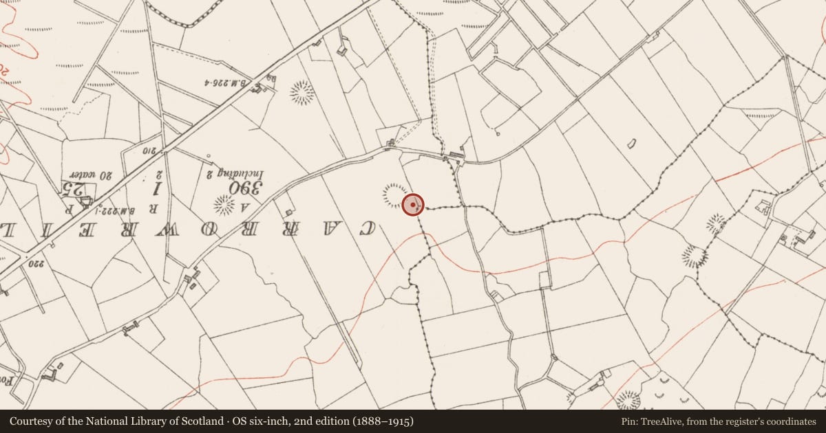 Ordnance Survey six-inch map, 2nd edition (1888–1915) covering the location of Church, Carnyara, County Sligo, with a pin at the register's coordinates