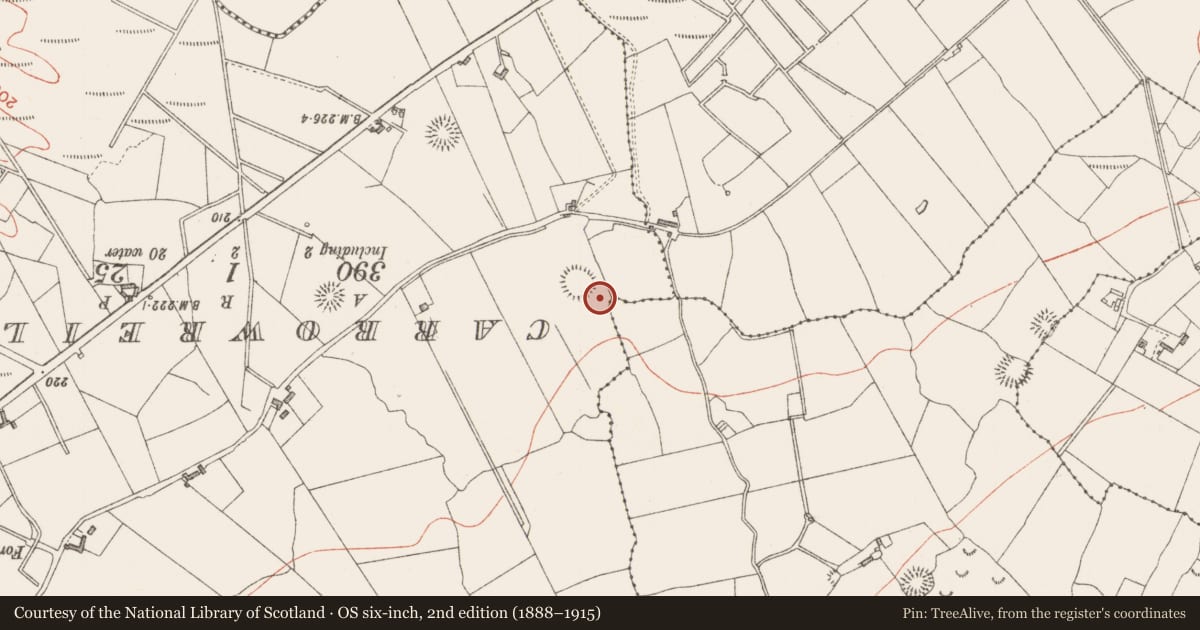 Ordnance Survey six-inch map, 2nd edition (1888–1915) covering the location of Ecclesiastical enclosure, Carnyara, County Sligo, with a pin at the register's coordinates