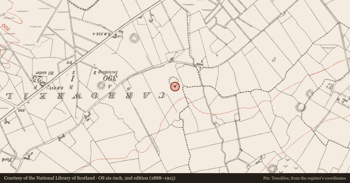 Ordnance Survey six-inch map, 2nd edition (1888–1915) covering the location of Kiln - lime, Carnyara, County Sligo, with a pin at the register's coordinates