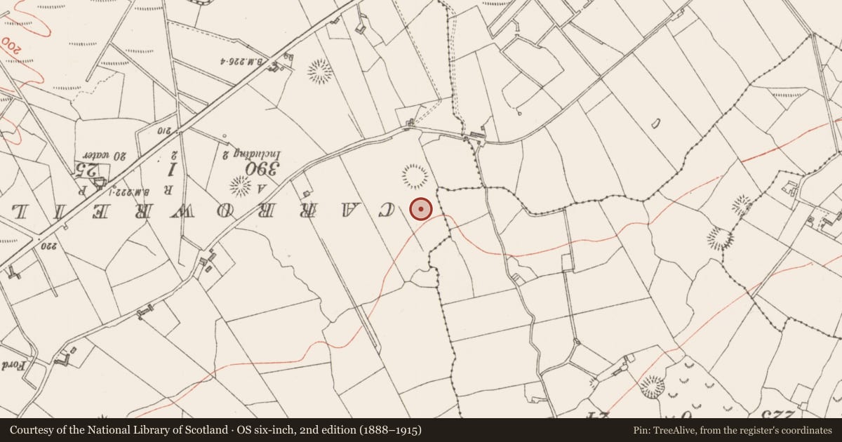 Ordnance Survey six-inch map, 2nd edition (1888–1915) covering the location of Souterrain, Carnyara, County Sligo, with a pin at the register's coordinates