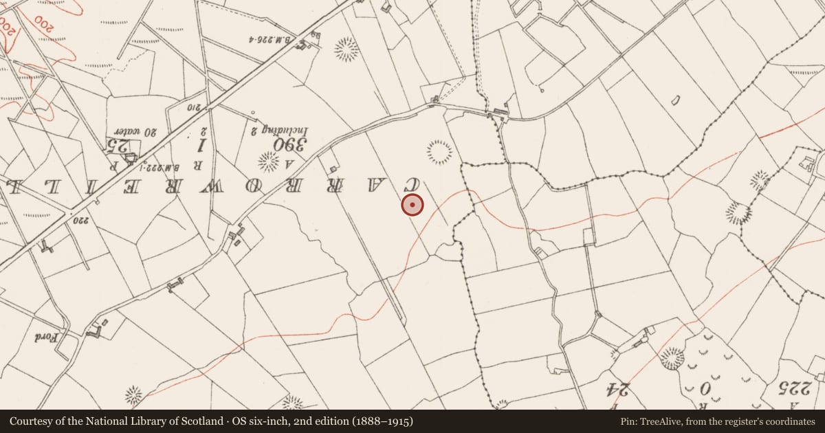 Ordnance Survey six-inch map, 2nd edition (1888–1915) covering the location of Hut site, Carnyara, County Sligo, with a pin at the register's coordinates
