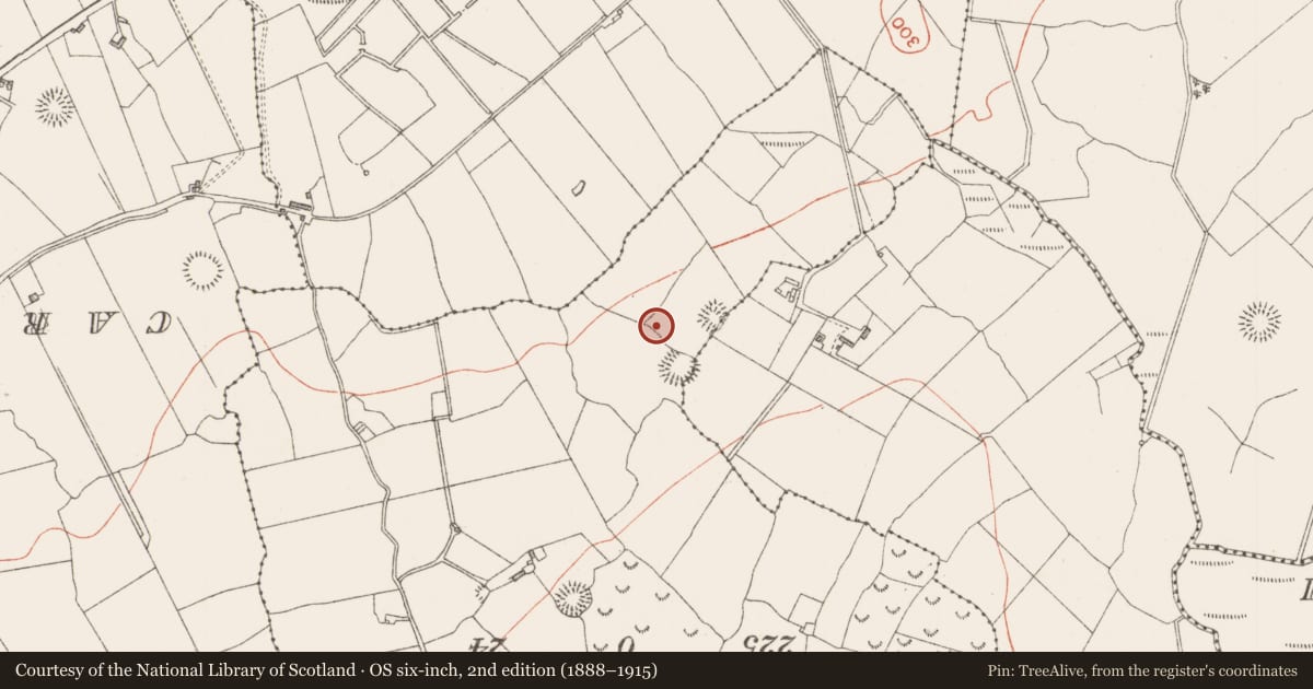Ordnance Survey six-inch map, 2nd edition (1888–1915) covering the location of Ringfort - cashel, Muckelty, County Sligo, with a pin at the register's coordinates