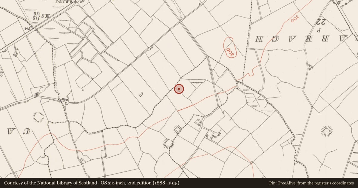 Ordnance Survey six-inch map, 2nd edition (1888–1915) covering the location of Ringfort - rath, Ballinvally, County Sligo, with a pin at the register's coordinates