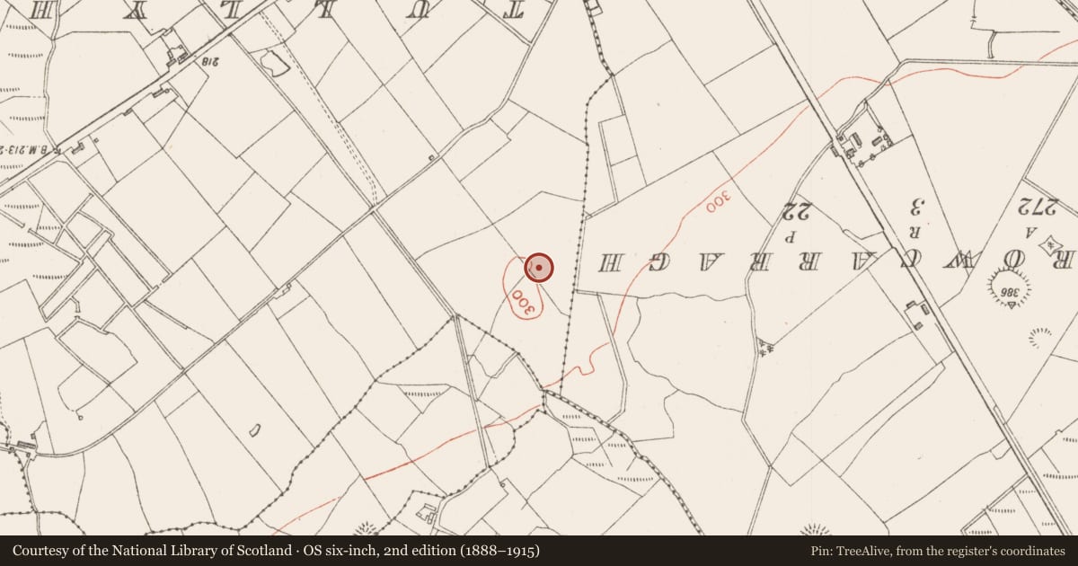 Ordnance Survey six-inch map, 2nd edition (1888–1915) covering the location of Enclosure, Streamstown, County Sligo, with a pin at the register's coordinates