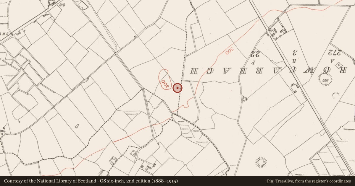 Ordnance Survey six-inch map, 2nd edition (1888–1915) covering the location of Enclosure, Streamstown, County Sligo, with a pin at the register's coordinates