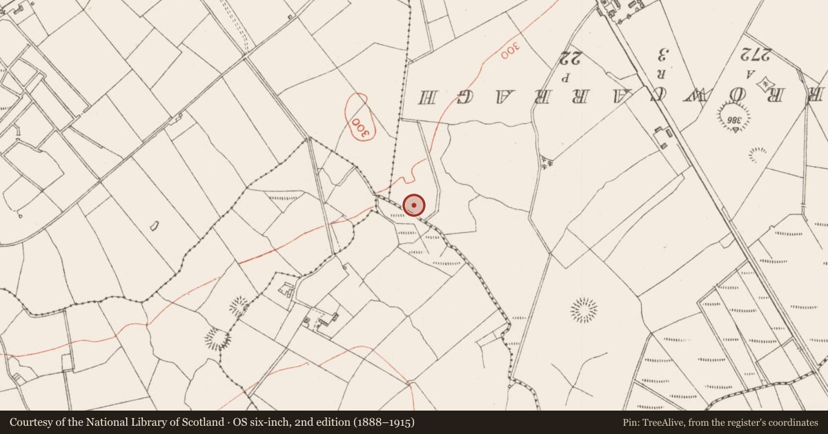 Ordnance Survey six-inch map, 2nd edition (1888–1915) covering the location of Ringfort - rath, Streamstown, County Sligo, with a pin at the register's coordinates