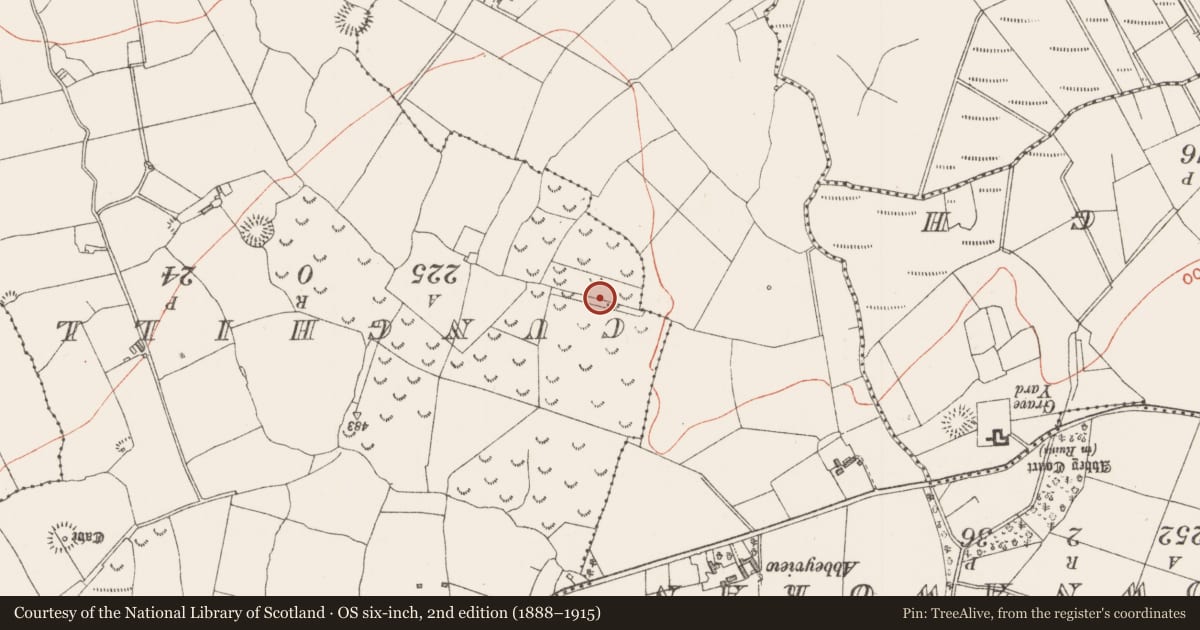 Ordnance Survey six-inch map, 2nd edition (1888–1915) covering the location of Ringfort - rath, Achonry, County Sligo, with a pin at the register's coordinates