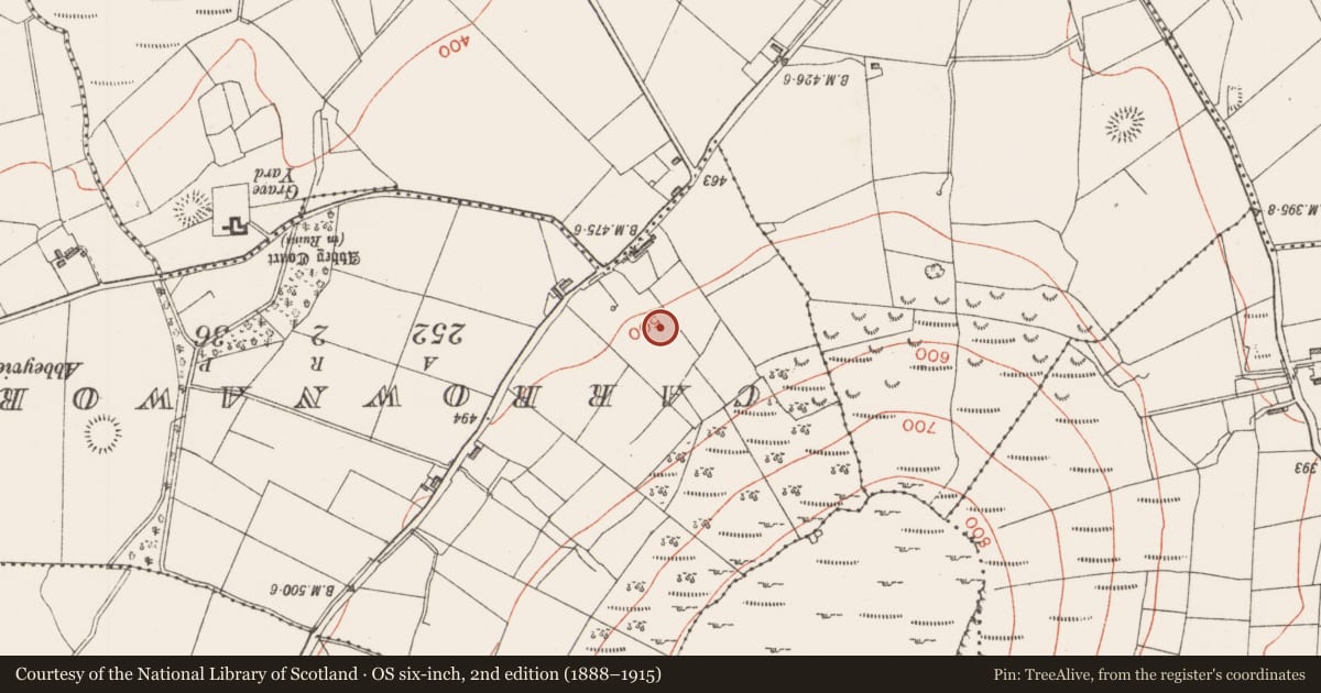 Ordnance Survey six-inch map, 2nd edition (1888–1915) covering the location of Ringfort - rath, Achonry, County Sligo, with a pin at the register's coordinates