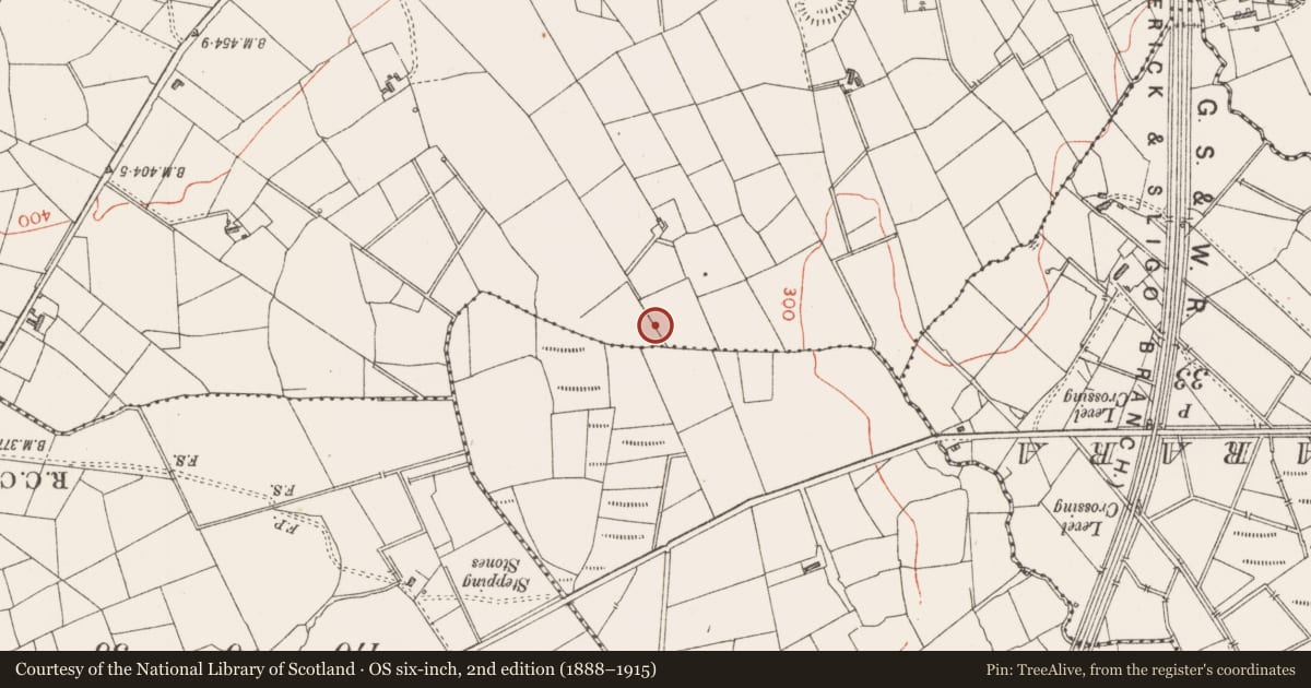 Ordnance Survey six-inch map, 2nd edition (1888–1915) covering the location of Ringfort - rath, Achonry, County Sligo, with a pin at the register's coordinates