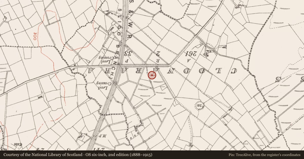 Ordnance Survey six-inch map, 2nd edition (1888–1915) covering the location of Ringfort - rath, Clooncose, County Sligo, with a pin at the register's coordinates