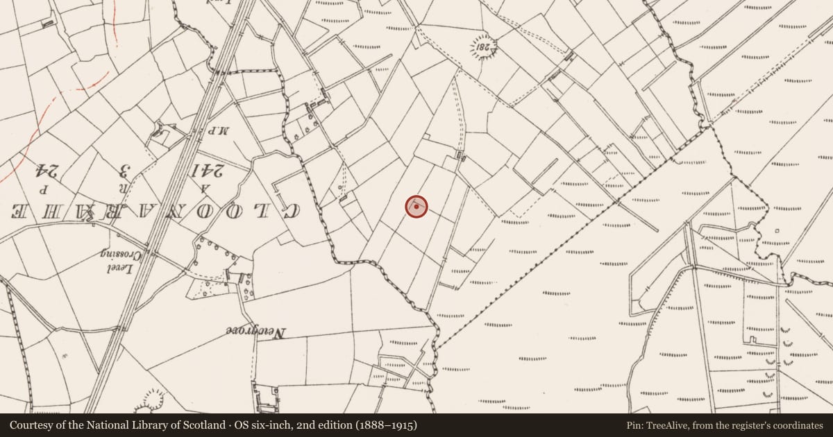 Ordnance Survey six-inch map, 2nd edition (1888–1915) covering the location of Ringfort - rath, Clooncose, County Sligo, with a pin at the register's coordinates