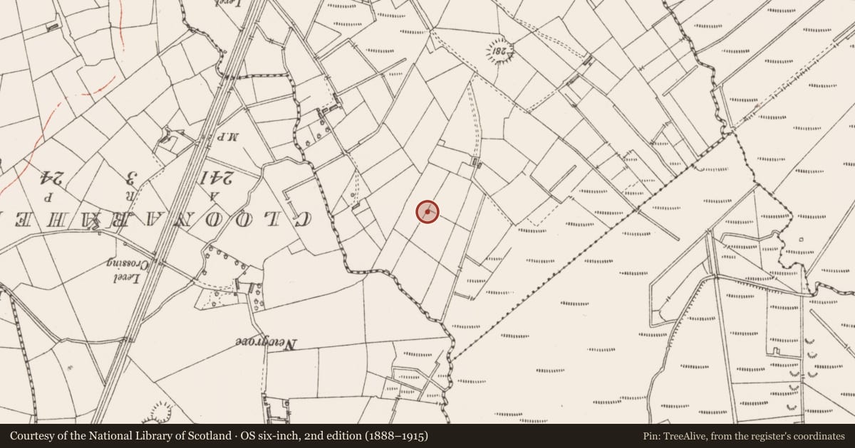 Ordnance Survey six-inch map, 2nd edition (1888–1915) covering the location of Souterrain, Clooncose, County Sligo, with a pin at the register's coordinates