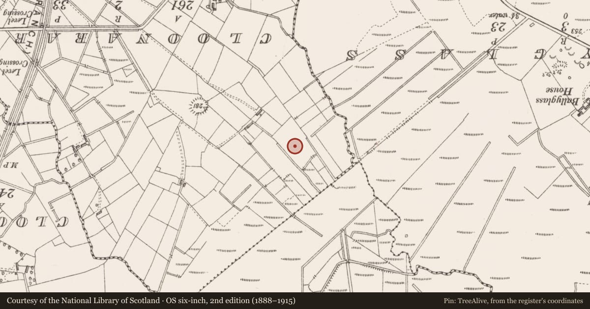 Ordnance Survey six-inch map, 2nd edition (1888–1915) covering the location of Ringfort - rath, Farranmaurice, County Sligo, with a pin at the register's coordinates