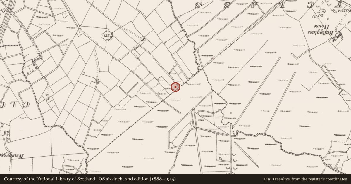 Ordnance Survey six-inch map, 2nd edition (1888–1915) covering the location of Ringfort - rath, Farranmaurice, County Sligo, with a pin at the register's coordinates