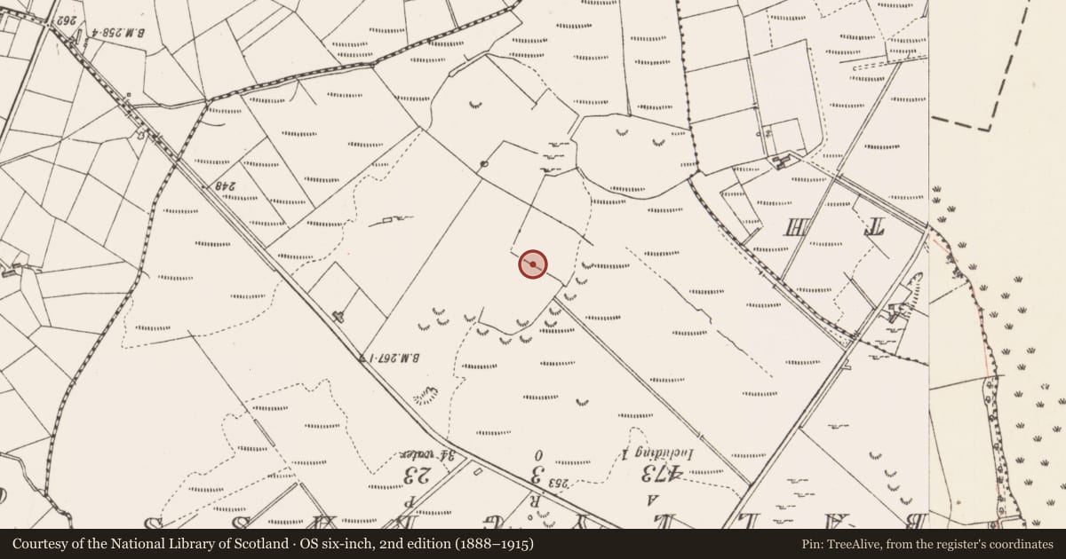 Ordnance Survey six-inch map, 2nd edition (1888–1915) covering the location of Ringfort - rath, Lislea, County Sligo, with a pin at the register's coordinates