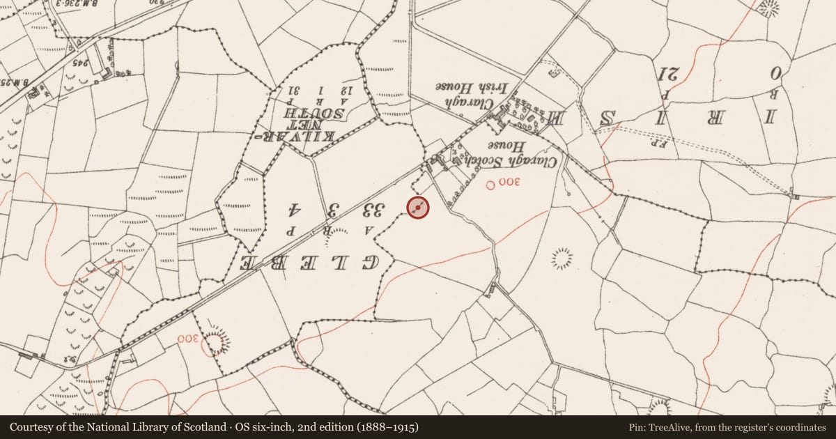 Ordnance Survey six-inch map, 2nd edition (1888–1915) covering the location of Ringfort - rath, Tobertelly, County Sligo, with a pin at the register's coordinates