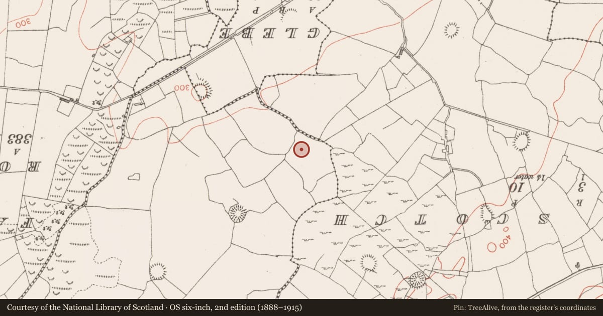 Ordnance Survey six-inch map, 2nd edition (1888–1915) covering the location of Ringfort - rath, Tobertelly, County Sligo, with a pin at the register's coordinates