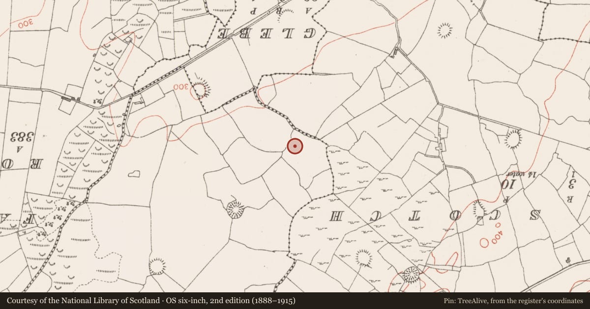 Ordnance Survey six-inch map, 2nd edition (1888–1915) covering the location of Souterrain, Tobertelly, County Sligo, with a pin at the register's coordinates