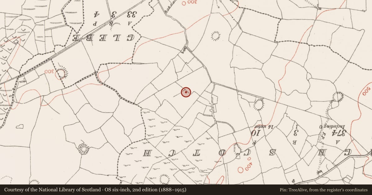 Ordnance Survey six-inch map, 2nd edition (1888–1915) covering the location of Ringfort - rath, Tobertelly, County Sligo, with a pin at the register's coordinates