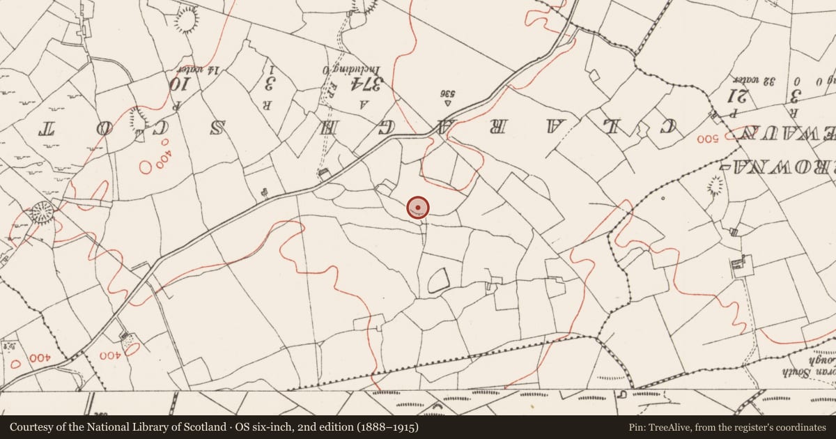 Ordnance Survey six-inch map, 2nd edition (1888–1915) covering the location of Enclosure, Toberscardan, County Sligo, with a pin at the register's coordinates