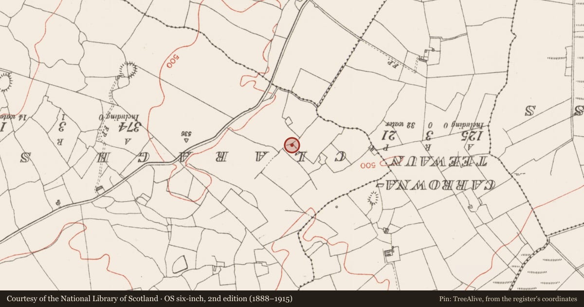 Ordnance Survey six-inch map, 2nd edition (1888–1915) covering the location of Ringfort - rath, Toberscardan, County Sligo, with a pin at the register's coordinates