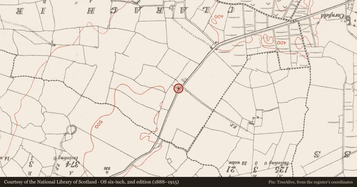 Ordnance Survey six-inch map, 2nd edition (1888–1915) covering the location of Hilltop enclosure, Muckelty, County Sligo, with a pin at the register's coordinates