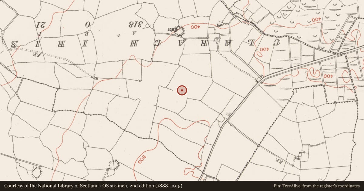 Ordnance Survey six-inch map, 2nd edition (1888–1915) covering the location of Barrow - ring-barrow, Muckelty, Toberscardan, County Sligo, with a pin at the register's coordinates