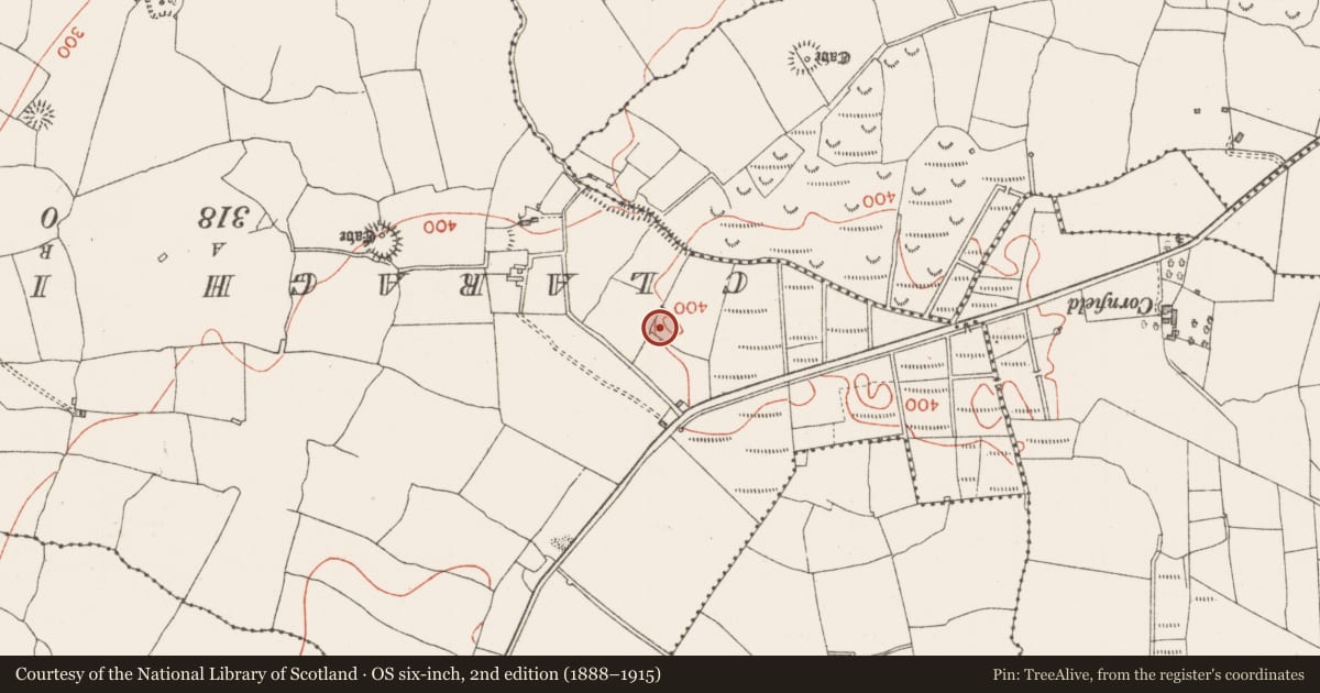 Ordnance Survey six-inch map, 2nd edition (1888–1915) covering the location of Ringfort - rath, Muckelty, County Sligo, with a pin at the register's coordinates
