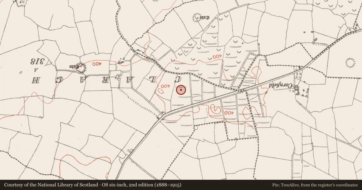 Ordnance Survey six-inch map, 2nd edition (1888–1915) covering the location of Hut site, Muckelty, County Sligo, with a pin at the register's coordinates