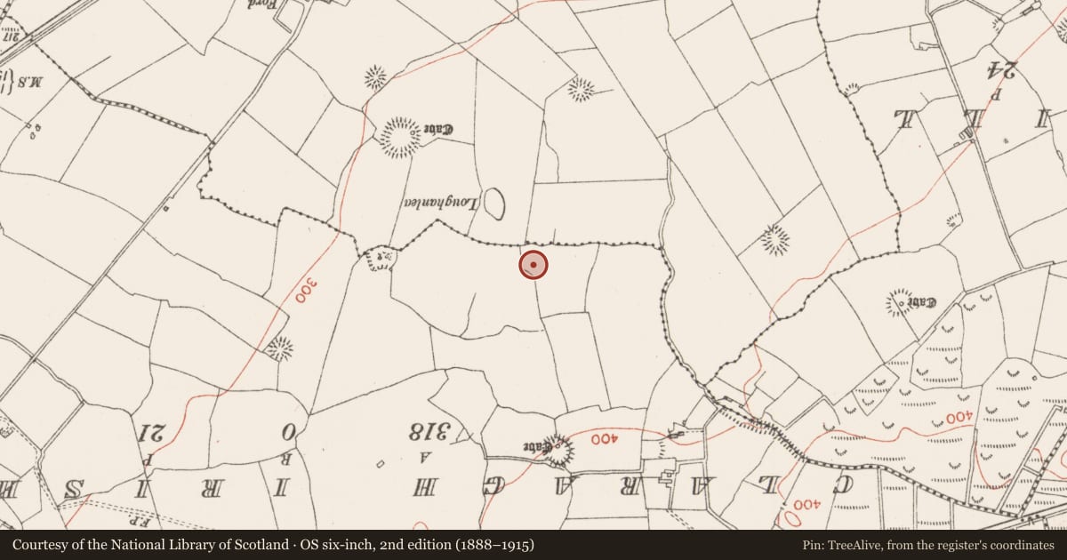 Ordnance Survey six-inch map, 2nd edition (1888–1915) covering the location of Ringfort - rath, Toberscardan, County Sligo, with a pin at the register's coordinates
