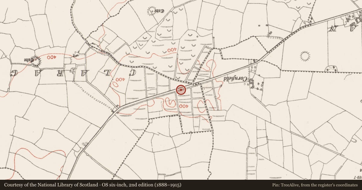 Ordnance Survey six-inch map, 2nd edition (1888–1915) covering the location of Earthwork, Achonry, County Sligo, with a pin at the register's coordinates