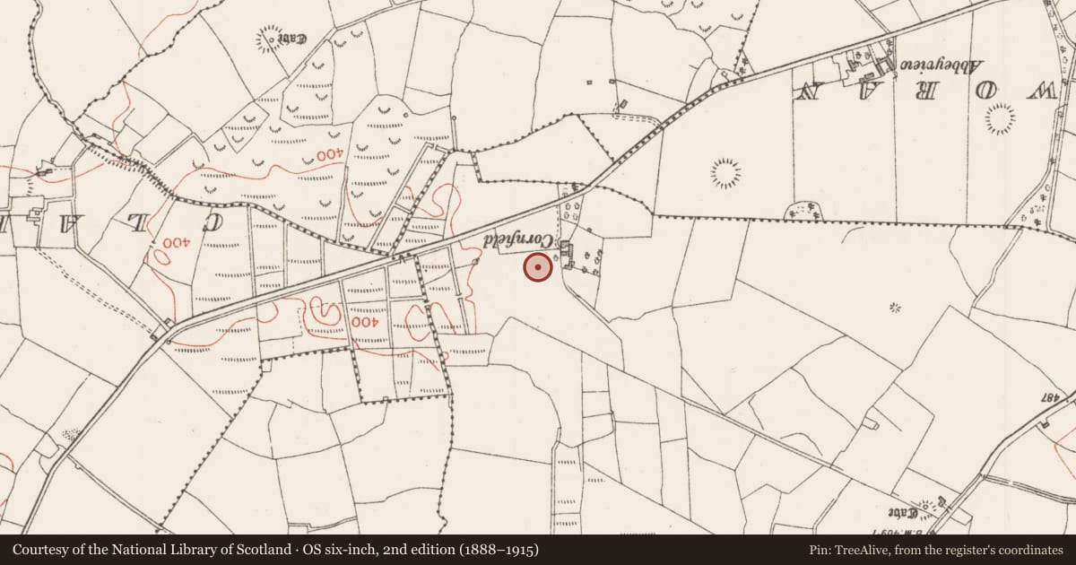 Ordnance Survey six-inch map, 2nd edition (1888–1915) covering the location of Ringfort - rath, Achonry, County Sligo, with a pin at the register's coordinates