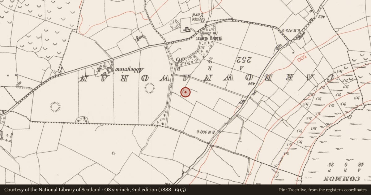 Ordnance Survey six-inch map, 2nd edition (1888–1915) covering the location of Ringfort - rath, Achonry, County Sligo, with a pin at the register's coordinates