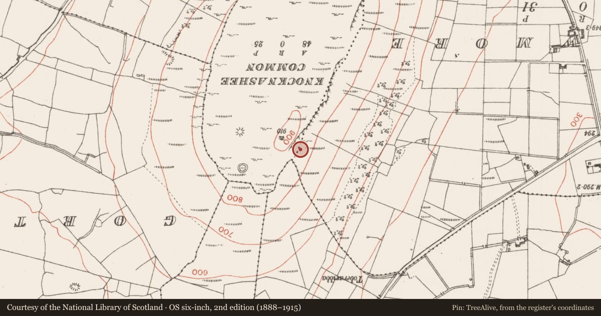Ordnance Survey six-inch map, 2nd edition (1888–1915) covering the location of Cathedral, Achonry, County Sligo, with a pin at the register's coordinates