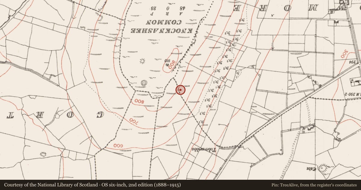 Ordnance Survey six-inch map, 2nd edition (1888–1915) covering the location of Field system, Achonry, County Sligo, with a pin at the register's coordinates