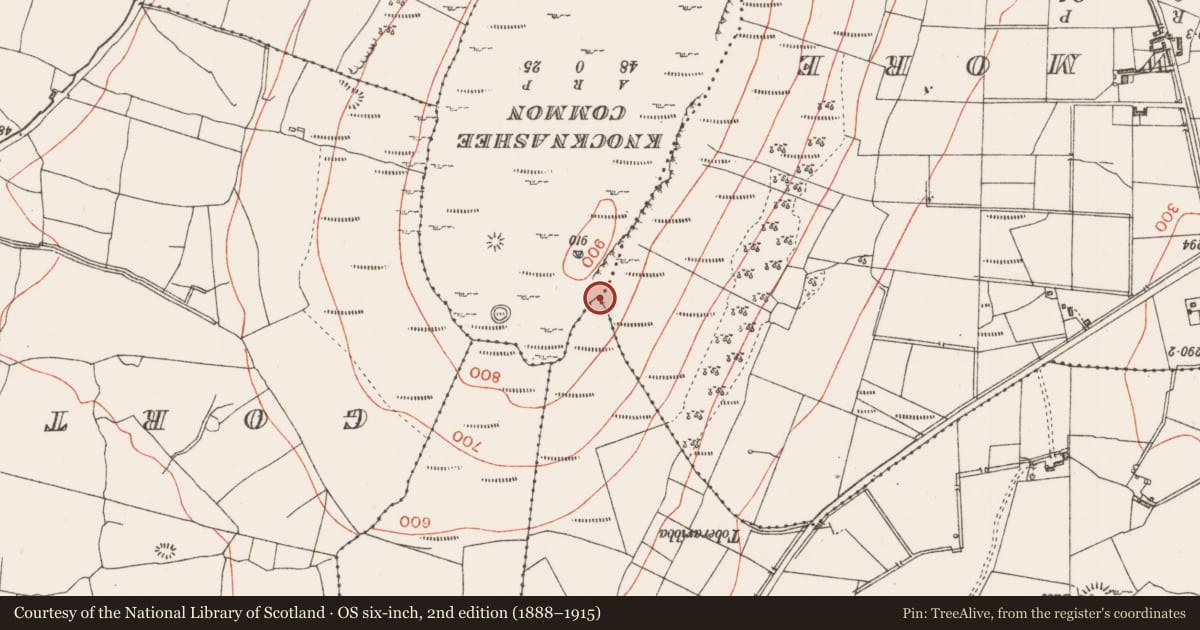 Ordnance Survey six-inch map, 2nd edition (1888–1915) covering the location of Cross-slab, Achonry, County Sligo, with a pin at the register's coordinates