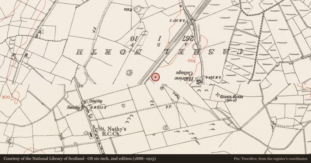 Ordnance Survey six-inch map, 2nd edition (1888–1915) covering the location of Road - road/trackway, Achonry, County Sligo, with a pin at the register's coordinates