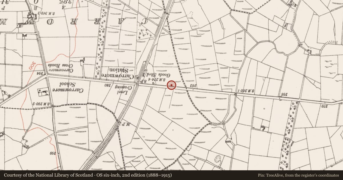Ordnance Survey six-inch map, 2nd edition (1888–1915) covering the location of Ringfort - rath, Lisnagore, County Sligo, with a pin at the register's coordinates