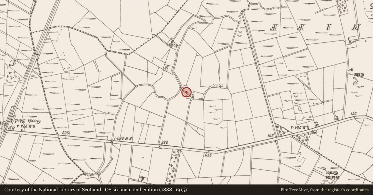 Ordnance Survey six-inch map, 2nd edition (1888–1915) covering the location of Enclosure, Moyrush, County Sligo, with a pin at the register's coordinates