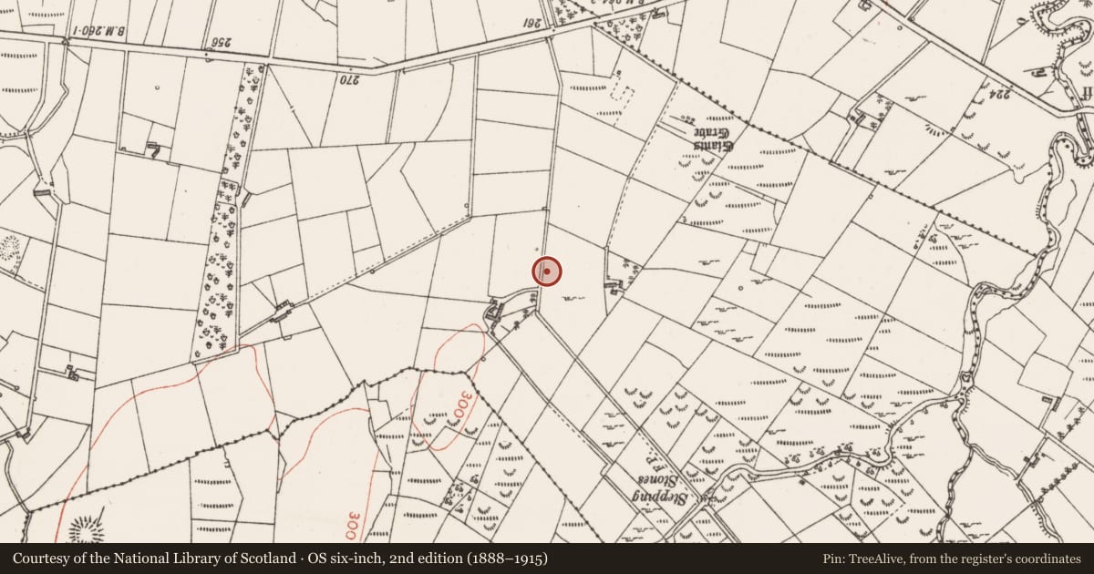 Ordnance Survey six-inch map, 2nd edition (1888–1915) covering the location of Ecclesiastical enclosure, Church Hill, County Sligo, with a pin at the register's coordinates